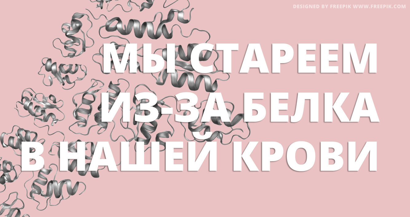 Секрет вечной молодости раскрыт: кровяной белок HMGB1 "заражает" здоровые клетки старением
